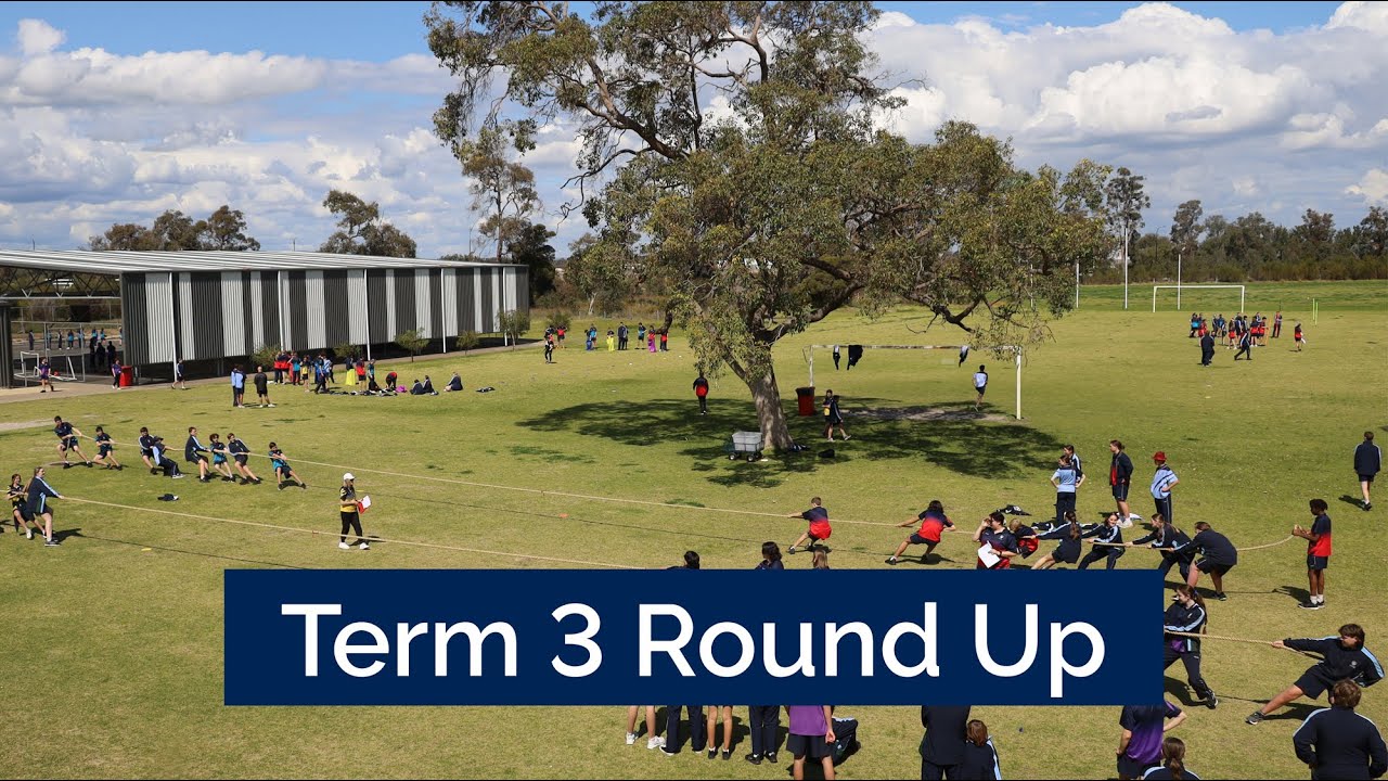 Our Lady Of Mercy Fees Our Lady Of Mercy Fees