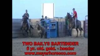 MEYER HORSE CO. --TWO BAILYS BARTENDER.qt
