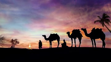 ايات القرآن حالات واتس اب بدون حقوق خلفية القرآن❤🥺سورة يوسف / بصوت عمر محجوب