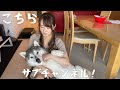 【ひきこもりが】やっとサブチャンネル作った!