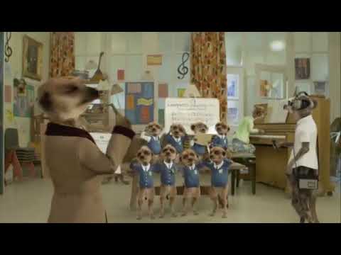 Compare The Meerkat Choir Advert (2011)