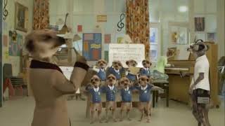 Compare The Meerkat Choir Advert (2011)