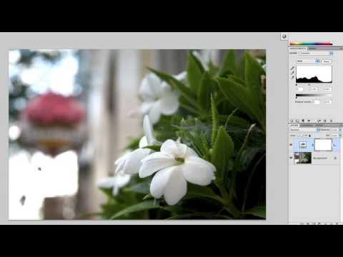 158 Understanding Adobe Photoshop - Color Correcti...