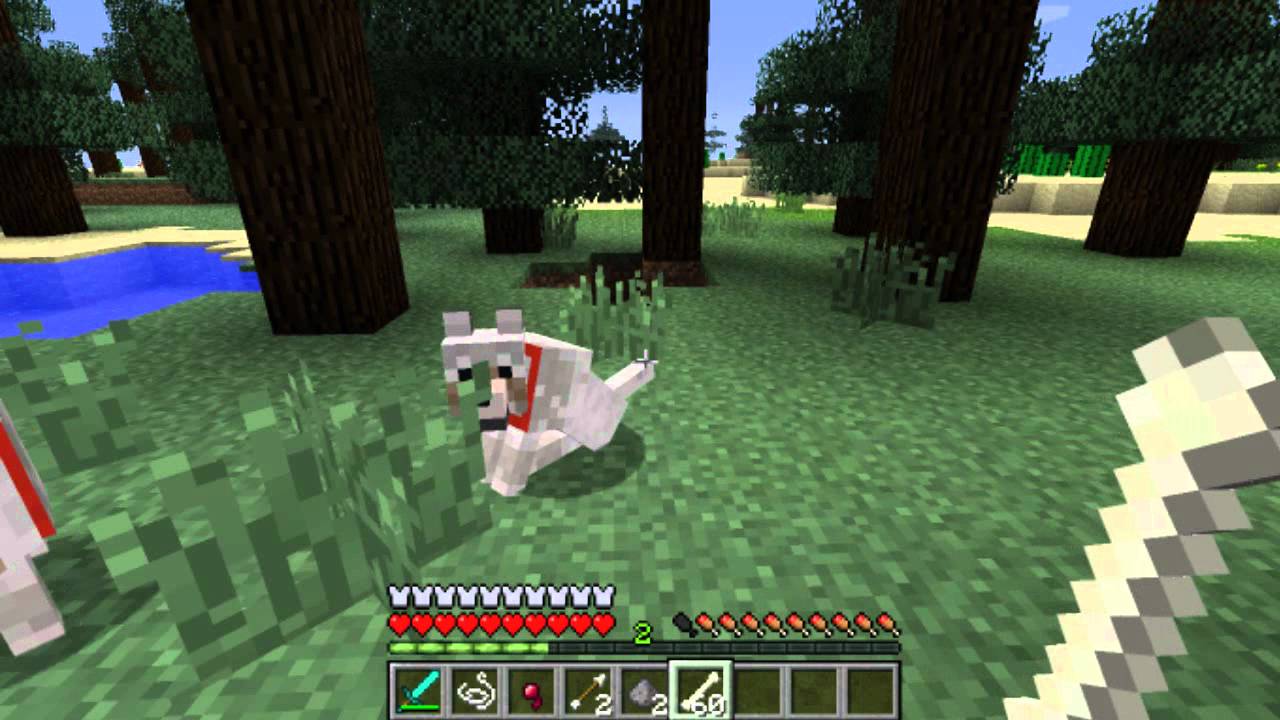 Come Addestrare Un Lupo Su Minecraft