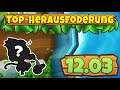 Topherausforderung 12032024  berflutetes tal bloonstd6