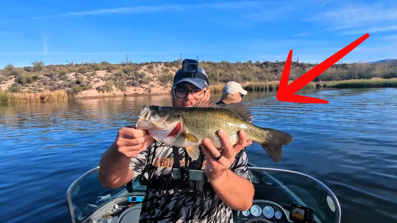 Saguaro Lake Bass Fishing Was INSANE! (Surprise Catch)