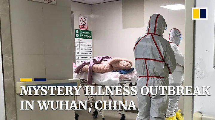 Mystery illness outbreak in Wuhan, China - DayDayNews