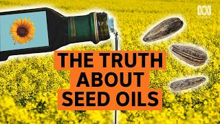 Seed Oils: Are They Really That Bad For You | What's That Rash