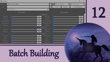 BodySlide 12: Batch Building