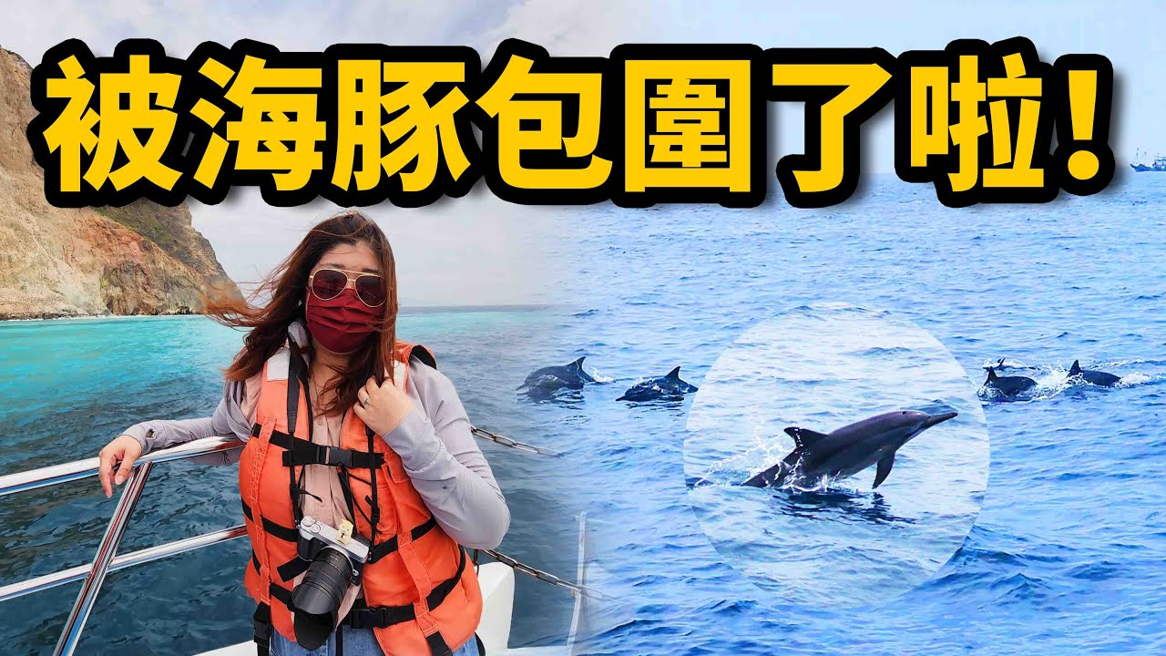 賞鯨了啦！看完海豚和牛奶海，再到漁港體驗DIY海鮮料理|旅遊|WalkerLand窩客島