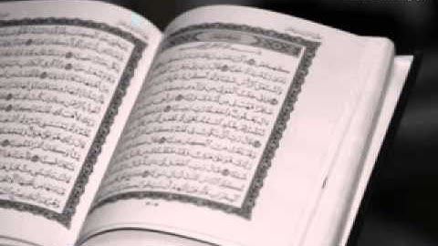 الشيخ قاسم فضائل سورة مريم تلاوة رائعة