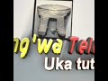 Njungwa daispora television live stream