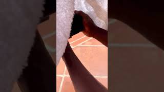 That time we were shooting an ad for @sosafruitdrink 🇳🇬Unedited BTS footage  🏊🏽‍♂️ #mattsozo Wealth