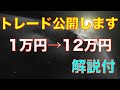 【バイナリーオプション】ご要望にお応えさせていただきます。投資家ナカタが解説付きで1万円を12万円にするトレード公開します。