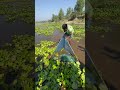 Raised on Water, Guided by Elders #fishspecies #fish #safanafishing #farming