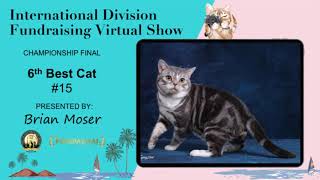 20200620 CFA ID Virtual Show Award Presentation by Brian Moser - #2 Championship Final