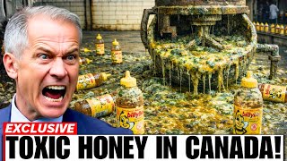 Celebrity 9 Fake Honey Brands Canadians Must AVOID at All Costs (What Beekeepers Don't Want You To Know) Net Worth