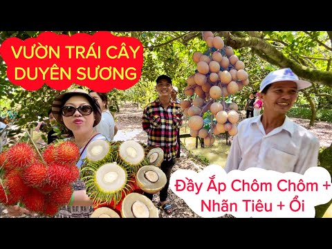 Video Vườn Trái Cây DUYÊN SƯƠNG Vĩnh Long 2022 Rộng 2 Hecta... - youtube
