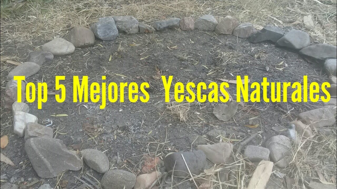 Top 5 Mejores Yescas Naturales