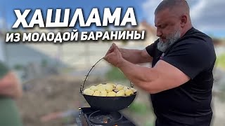 Хашлама Из Молодой Баранины На Костре. Готовит Максюта