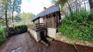 Sodas Anupriškyje Pušyne Prie Ežero