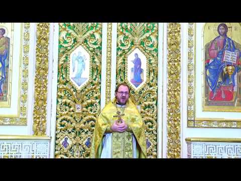 Размышления в День защитника Отечества