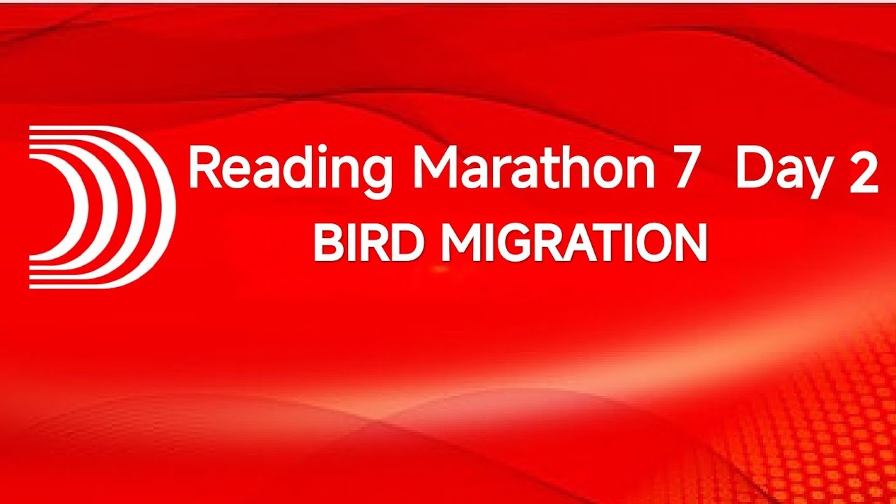 Diyorbek Reading Marathon 7 Day 2 || BIRD MIGRATION