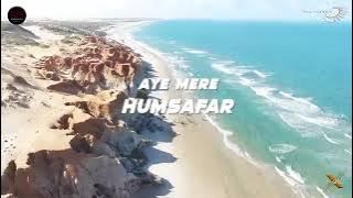 Mere Humsafar Remix  Mithoon   Tulsi Kumar  Ds Entertaiment