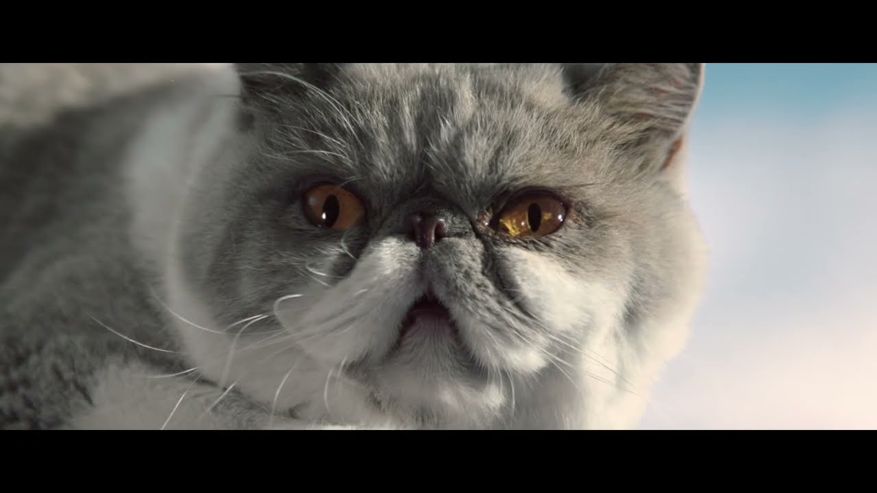 COLORSTEEL® Next Generation with ACTIVATE™ Technology