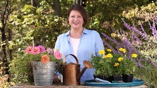 These Are The Best Flowers for Butterflies | Southern Living Net Worth