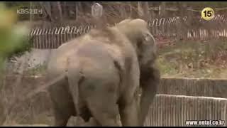 Download lagu Boys over Flowers capítulo 23 Completo en español latino❤