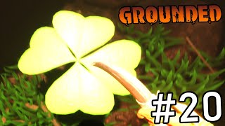 Invincible Four Leaf Clover Gives Secret Perk! | Larva Cave Location - Grounded Part 20