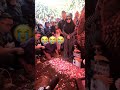 Pemakaman Kakak Kandung Syahrini Part. 4