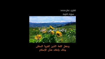 تلاوة خاشعة من سورة التوبة للقارئ : عنان محمد (ادعوا للقارئ بدعوة طيبة)