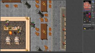 Tibiaroyal Explorer Brooch Quest