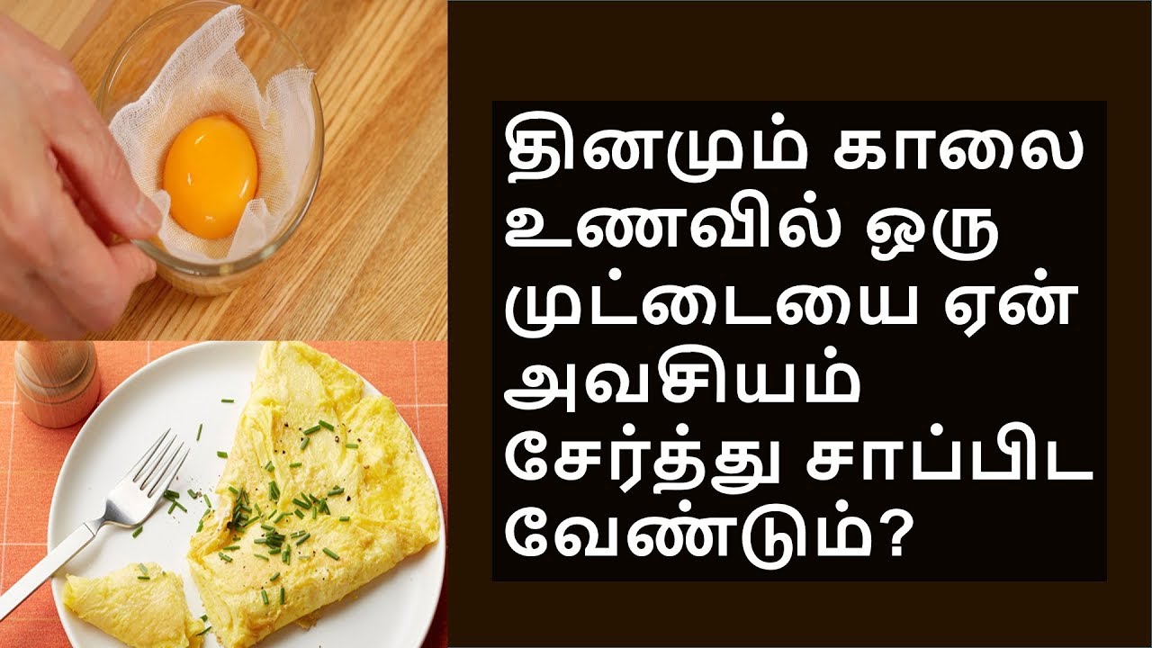 முட்டை பற்றிய உண்மைகள் உங்களை ஆச்சரிய பட வைக்கும்! egg benefits YouTube