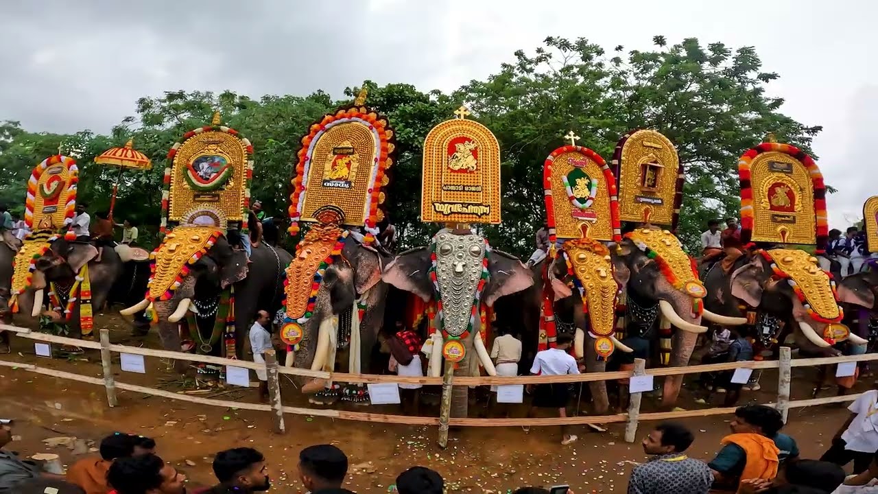 അടപ്പുട്ടി പള്ളി പെരുന്നാൾ@kunnamkulam Adupputty palli perunnal 