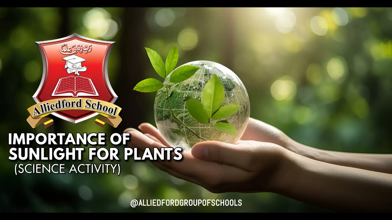 Importance of Sunlight for Plants | Science Activity for Kids