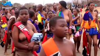 Swazi Virgin Women 'Dance' For the Mighty Swaziland King