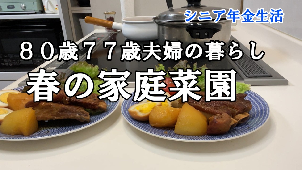 【yuuの家事ライフ】シニア年金生活、８０歳７７歳夫婦の暮らし、春の家庭菜園