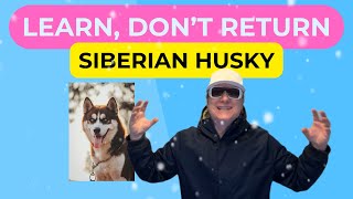 Siberian Husky Learn,Don't↩Return