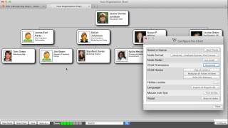 The 5 Minute Organization Chart - Additional Fields