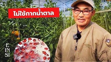 สุดยอดปุ๋ยน้ำ เกษตรอินทรีย์ที่ไม่จำเป็นต้องเพิ่งกากน้ำตาลและปุ๋ยเคมี l บทที่ 5 l  JLF l Jadam