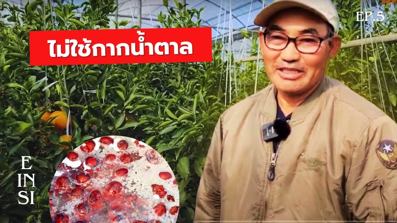 สุดยอดปุ๋ยน้ำ เกษตรอินทรีย์ที่ไม่จำเป็นต้องเพิ่งกากน้ำตาลและปุ๋ยเคมี l บทที่ 5 l  JLF l Jadam