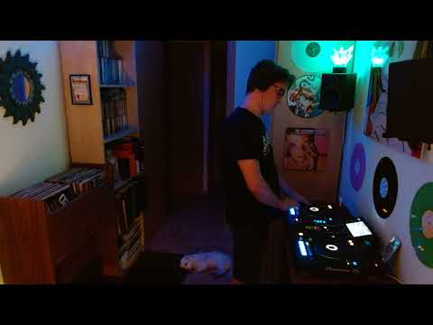 bradeazy Live @ HB Social Club Hawaii, 2025