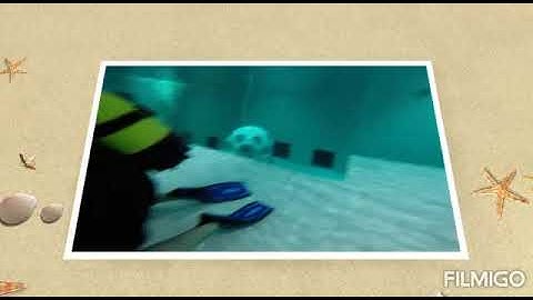 #nemo33# scuba #
