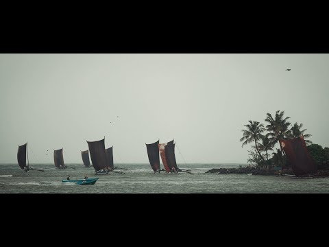 Negombo | Digital Commercial