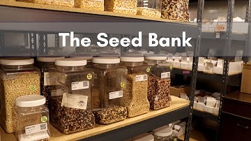 The Seed Bank at Native Seeds/SEARCH