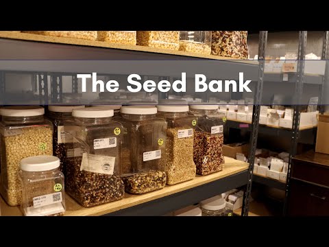 تصویری: بانک بذر چیست - درباره اطلاعات بانک بذر بیاموزید