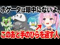 眼中になかったはずのホゲータに惚れてしまう湊あくあ #shorts 【ポケモンsv】【ホロライブ切り抜き】